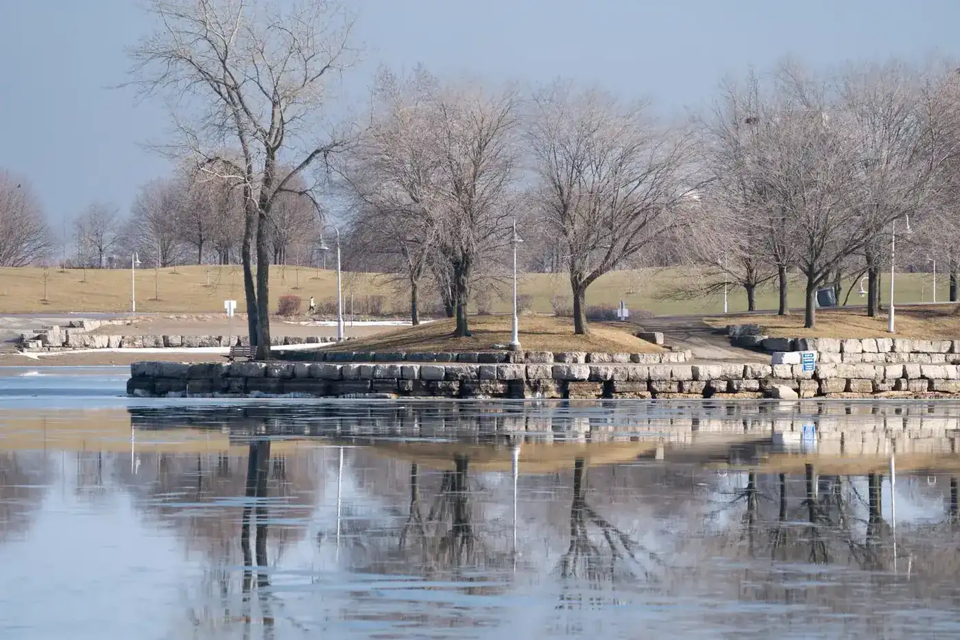 A quiet lakefront with bare trees reflected on still water
